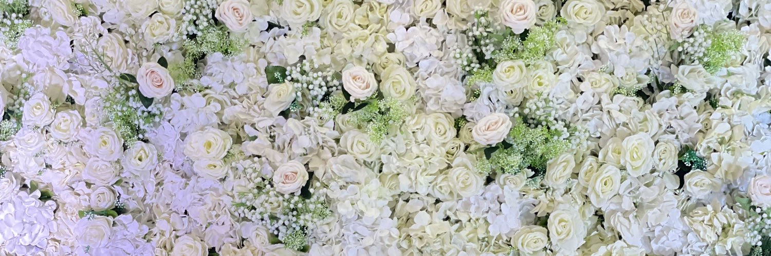 farahnadirh's profile banner image