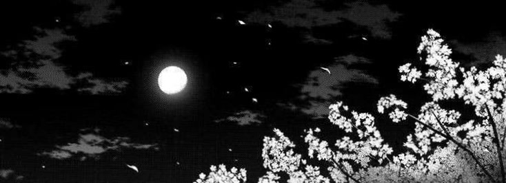 chuckiechu14's profile banner image