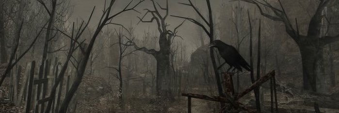 rissaroosa's profile banner image