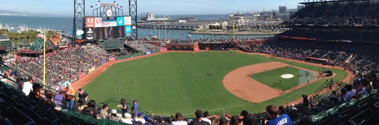 [insert name here] banner