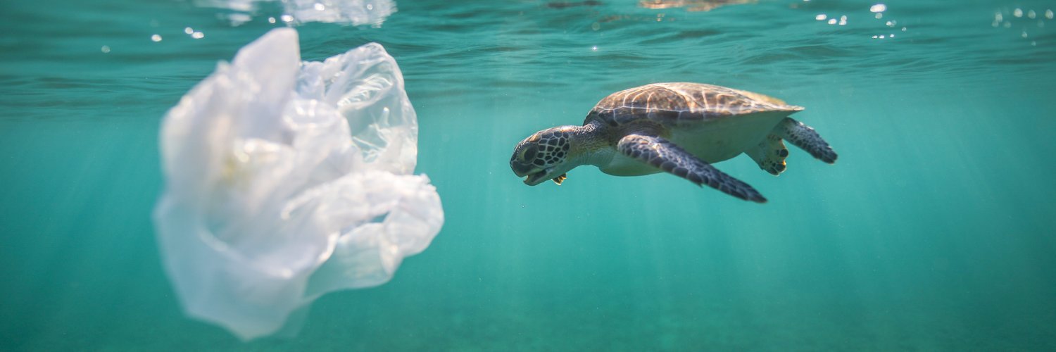 Travelers Against Plastic's banner