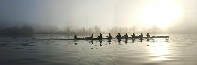 lumberjaques's profile banner image