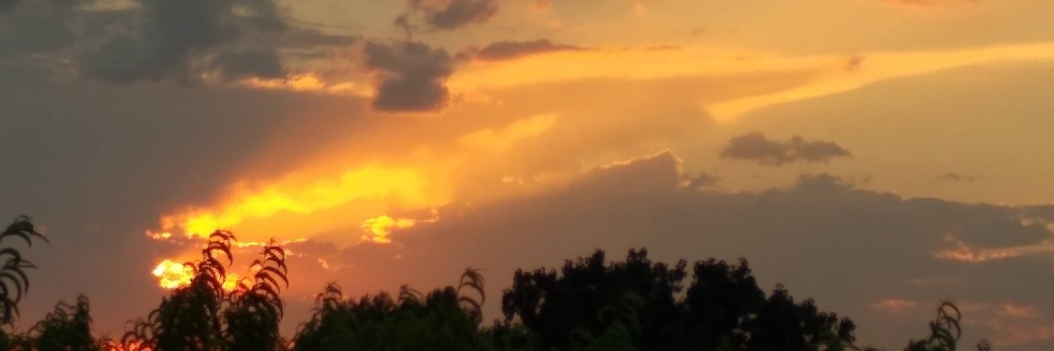 montsecg36's profile banner image