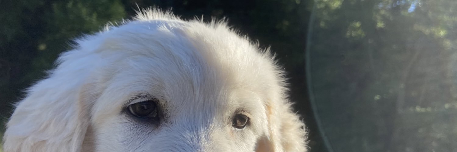 DMunstedt's profile banner image