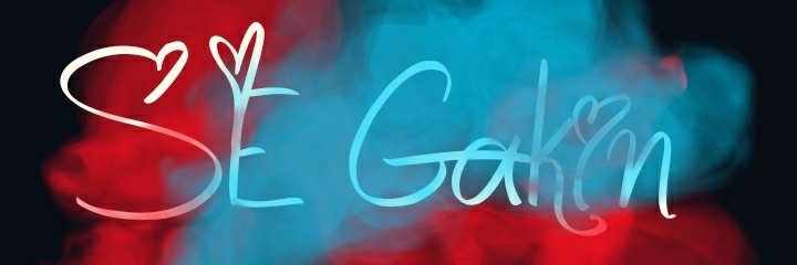 SE Gakin banner