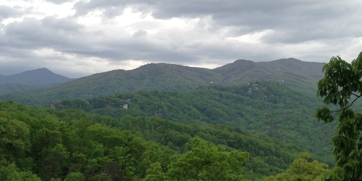 Shannon Hudnall banner