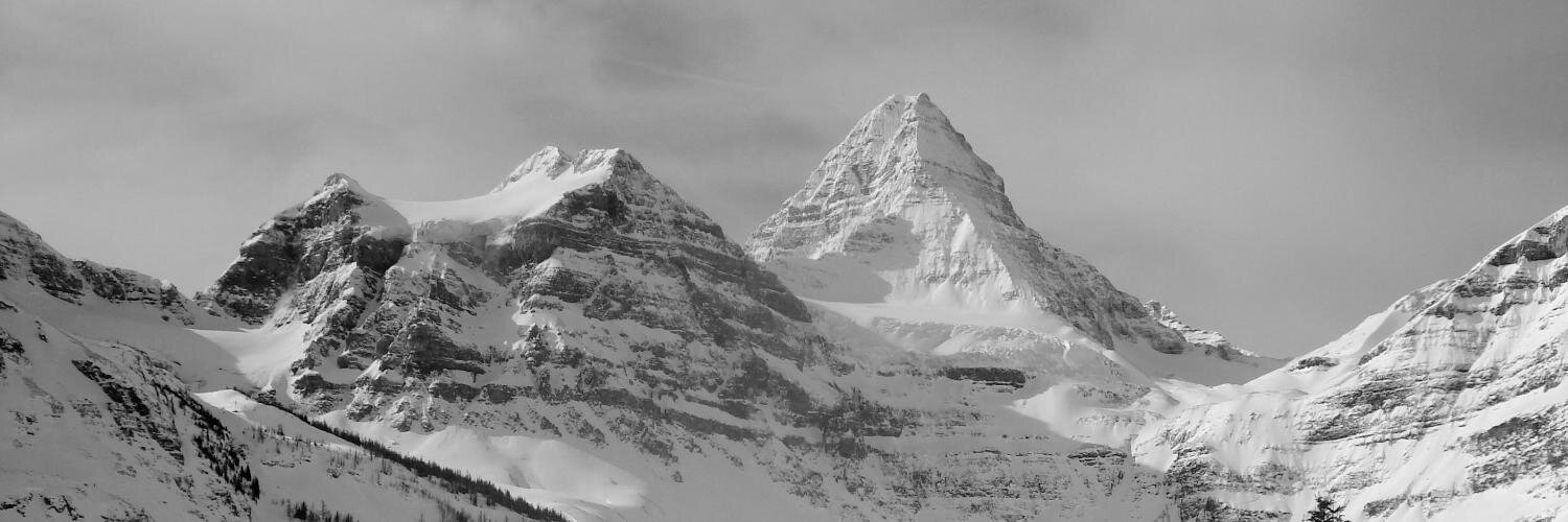 Dasha Gaiazova banner