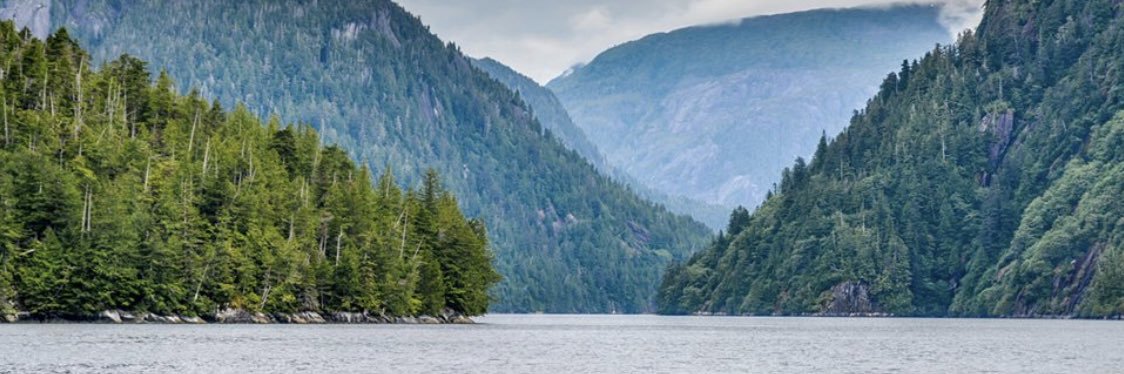 YourFaveHRBella's profile banner image