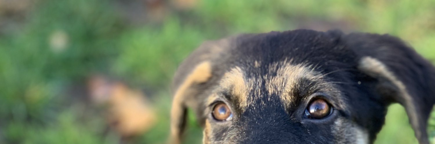 skybech's profile banner image