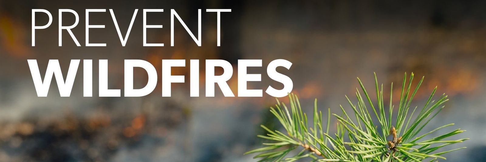 Rothes Community Fire Station banner