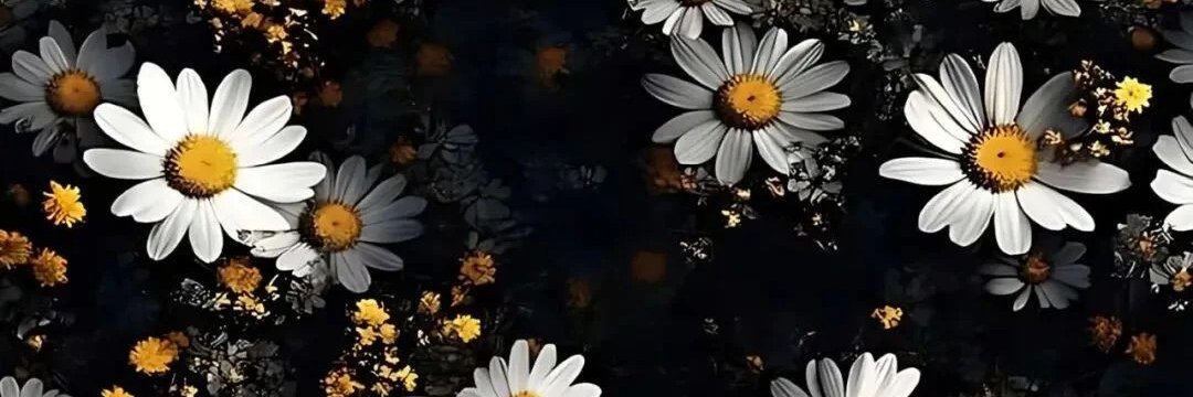 阿正（互fo） banner