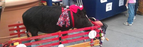 jtobin76 Profile Banner