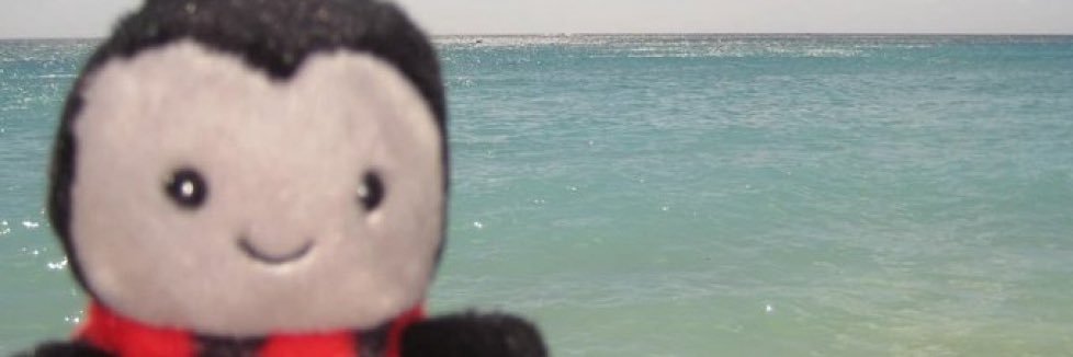 kaymerri's profile banner image