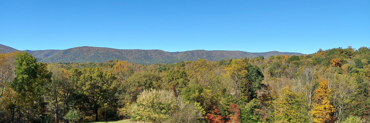 Reasonable Squirrel banner