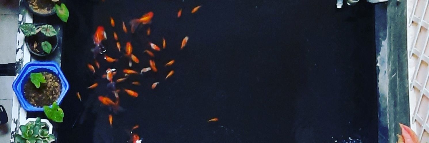 Hapriyandi1's profile banner image