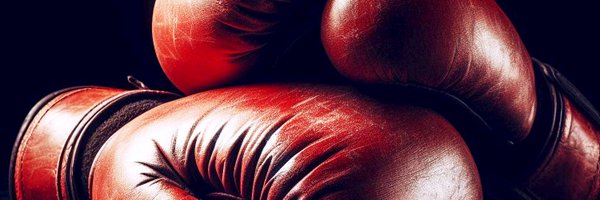Boxing by HTM Profile Banner