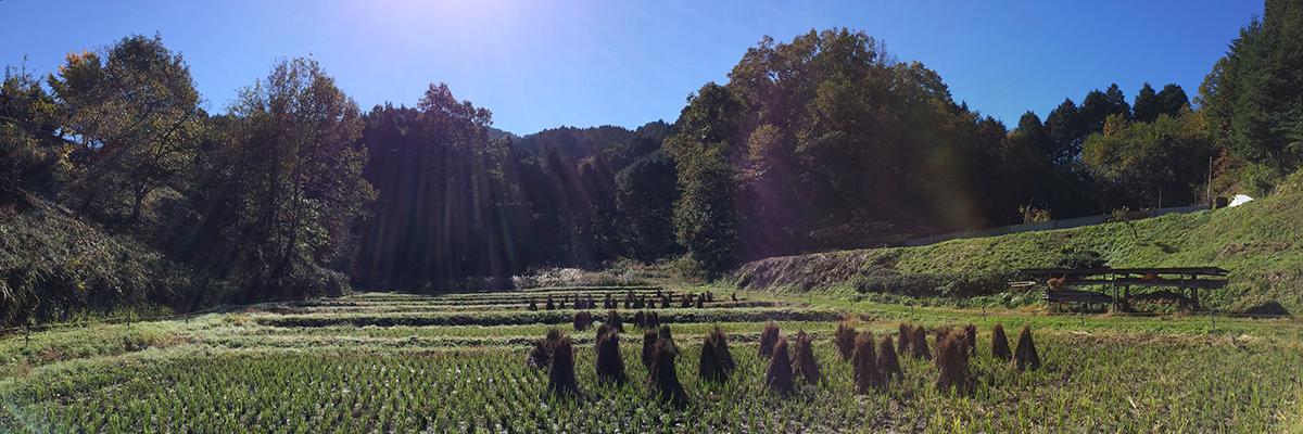 uminouiwn's profile banner image