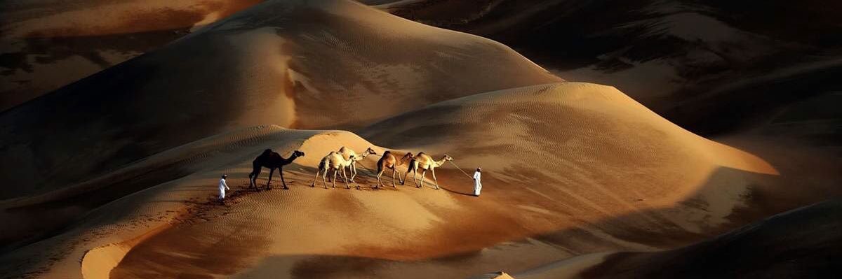 roudahra's profile banner image