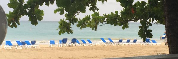 britstefani Profile Banner