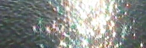 sctarry banner