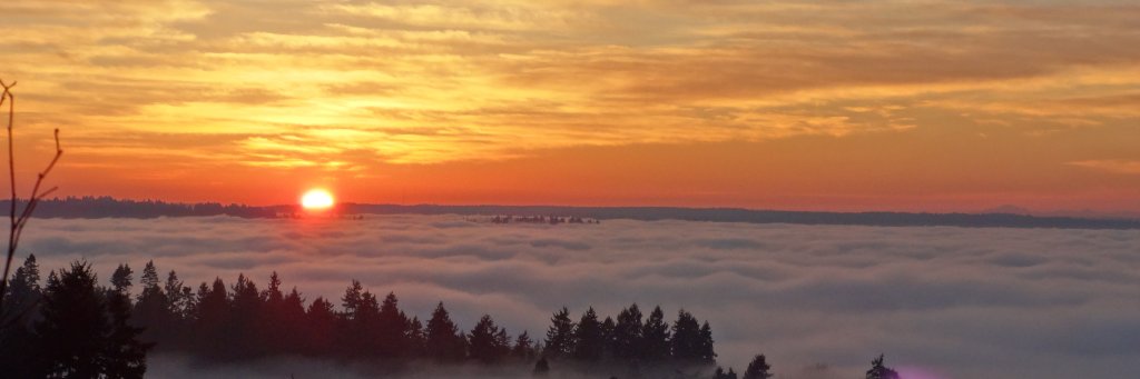 TimDewhurstFACC's profile banner image