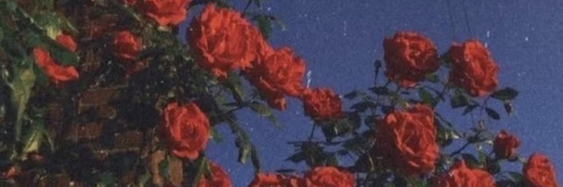 _StephanieeDoee's profile banner image