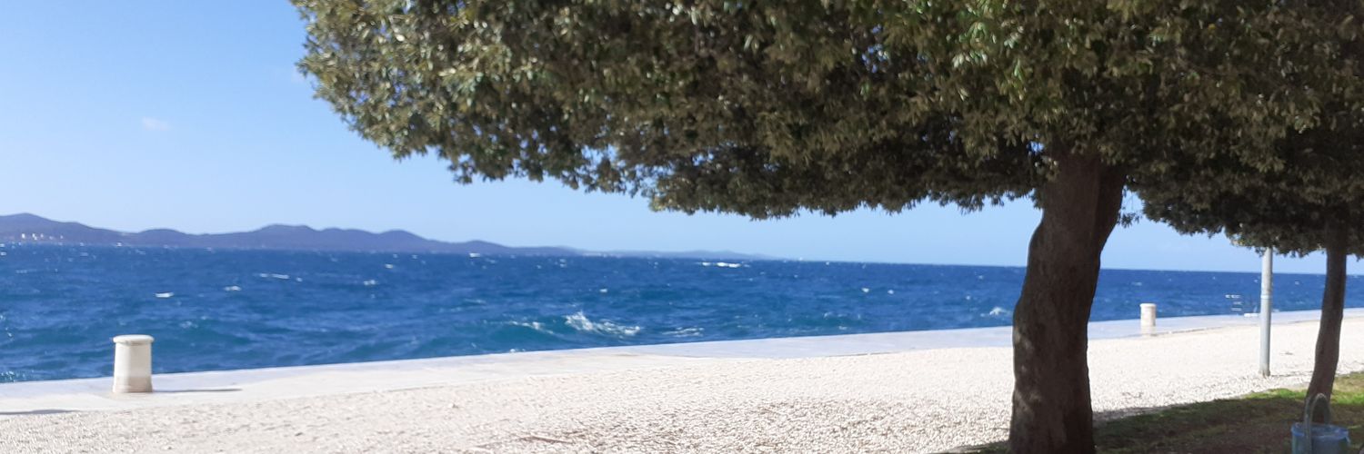 Marko Vucetic banner