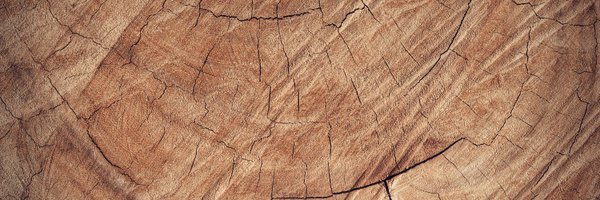 sourcetms Profile Banner