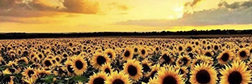 _juiice16's profile banner image