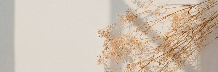 ikamailinando's profile banner image