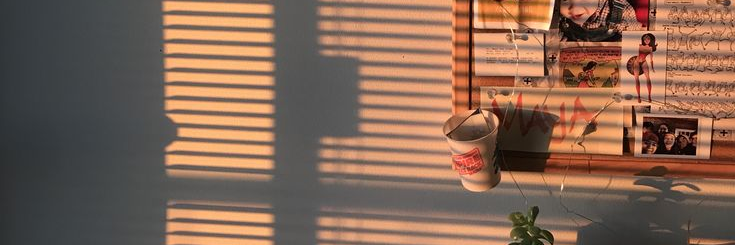 pipit1992's profile banner image