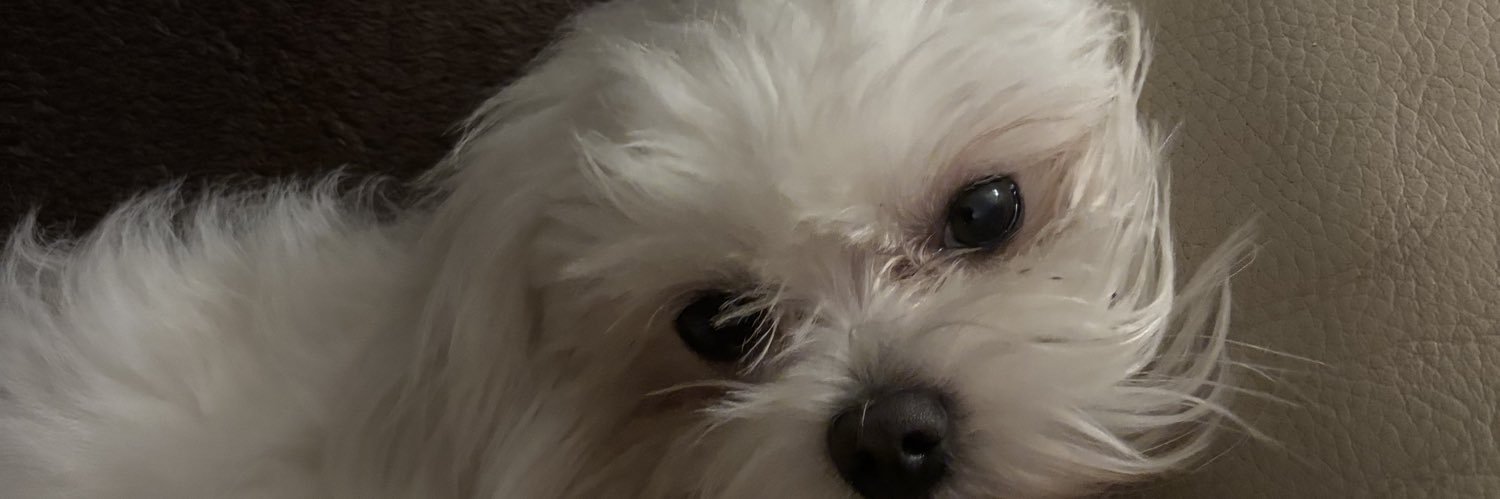 eelponcee's profile banner image