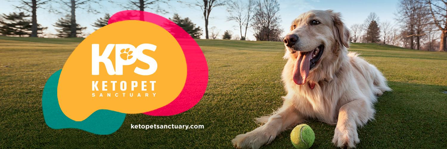 ketopet's profile banner image