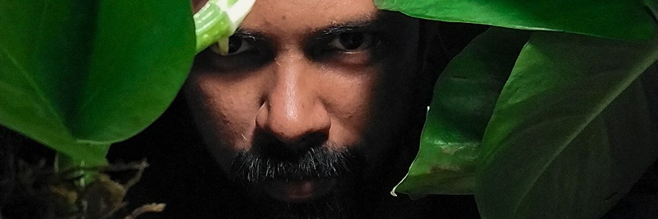 meusviews's profile banner image