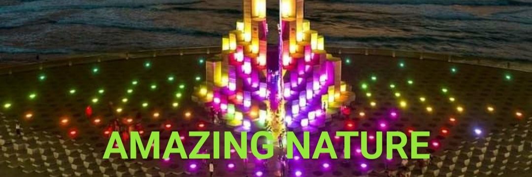 AMAZING NATURE banner