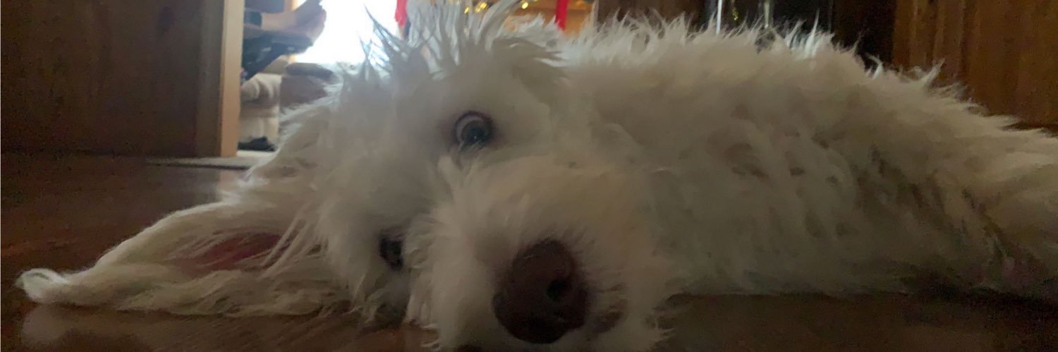 SydneyAnna2's profile banner image