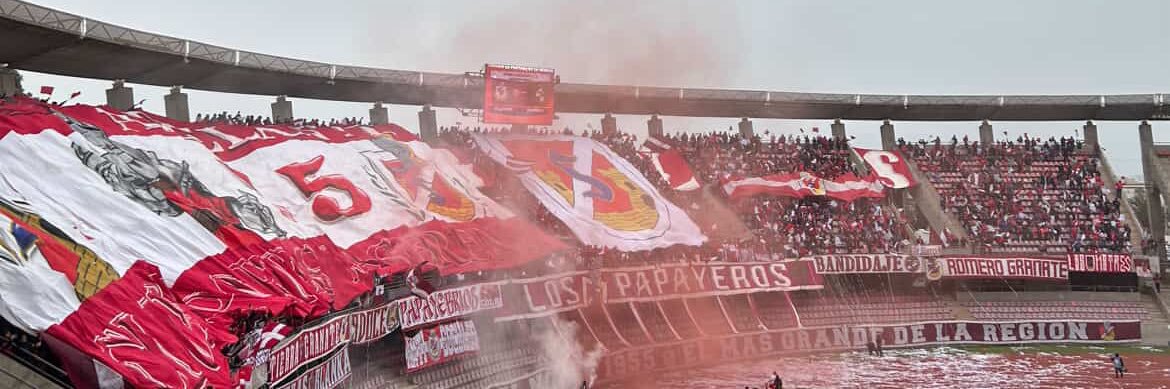 PAPAYIN🇱🇻 banner