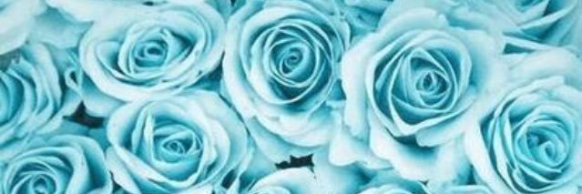 s_chuu's profile banner image