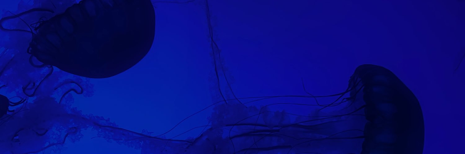 777hannah's profile banner image