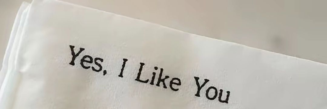 นอวอ ᯓ𓇼 banner