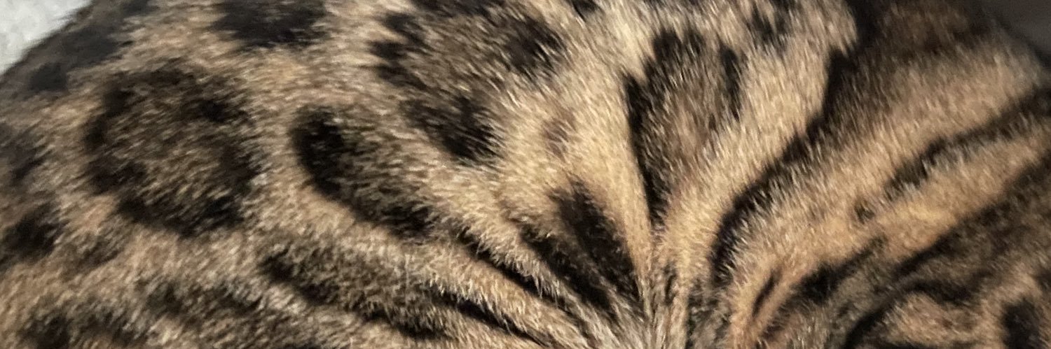 9re_k's profile banner image