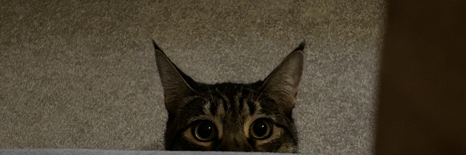 iorkiasy's profile banner image