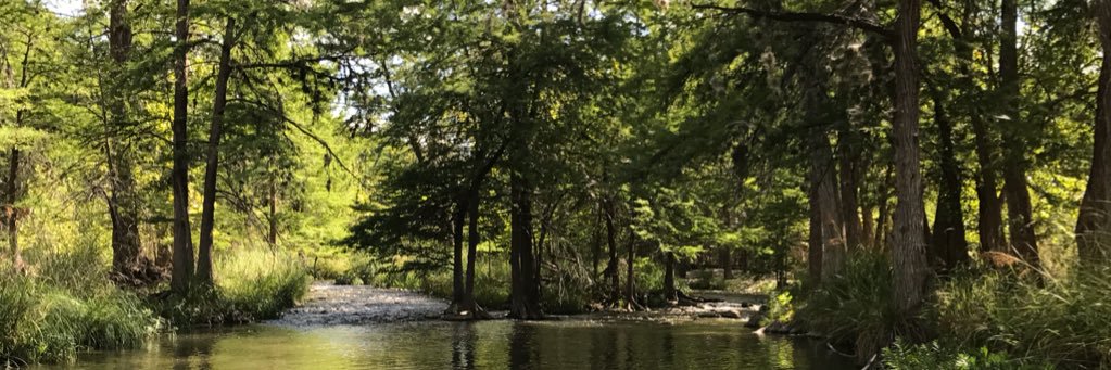 tracyfaw's profile banner image