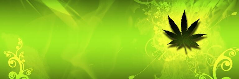 TruthMe's banner