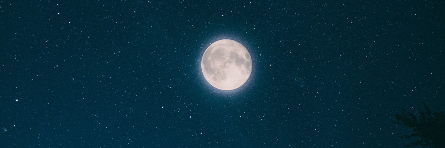 dultraviolet's profile banner image