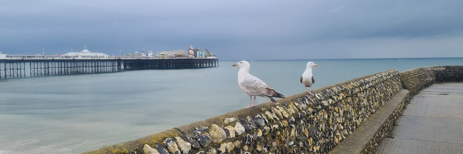 Emily Quiggin banner