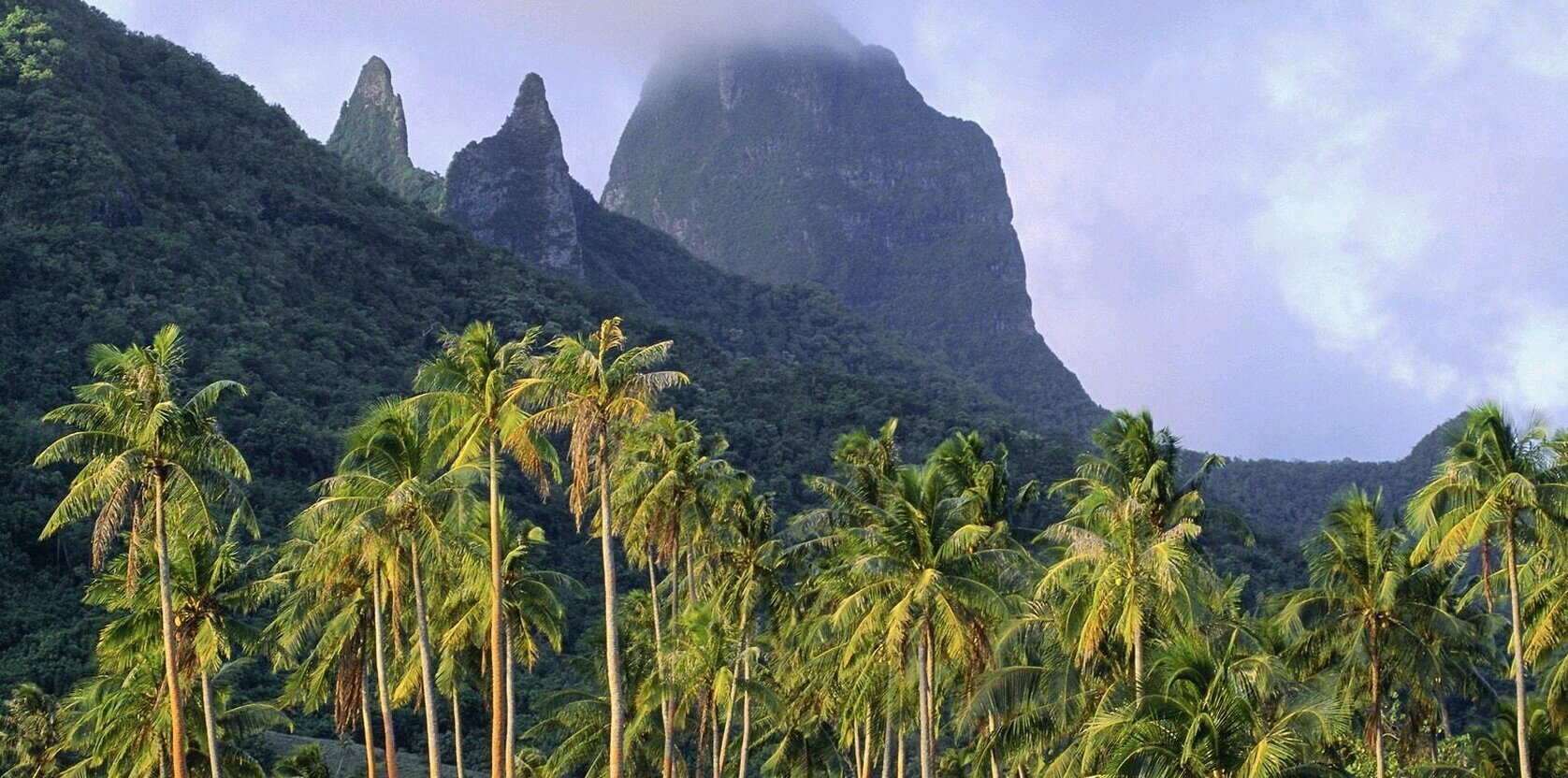 jongrande5's profile banner image