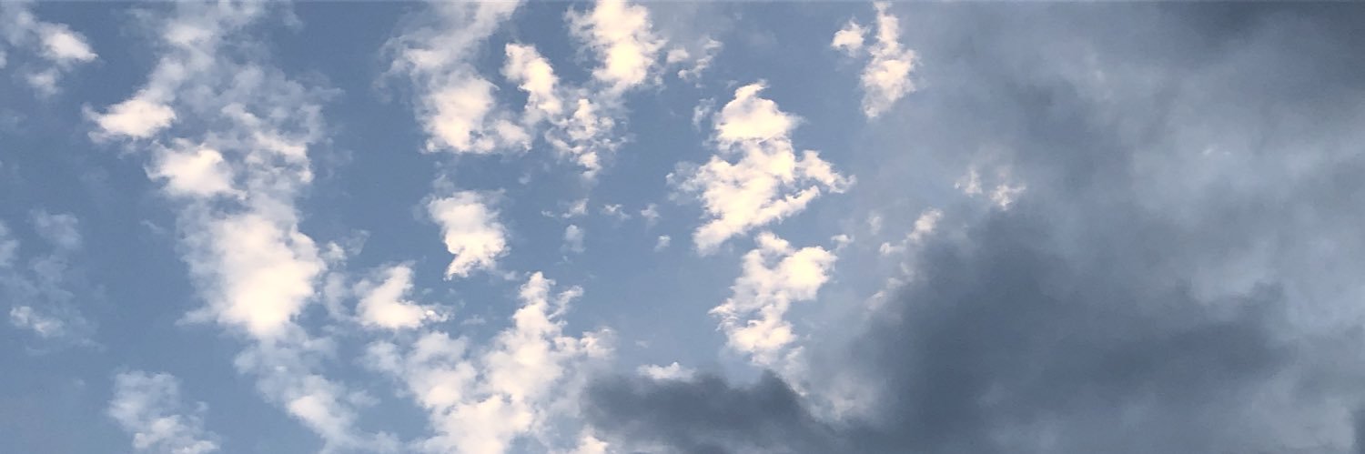 amerishort's profile banner image