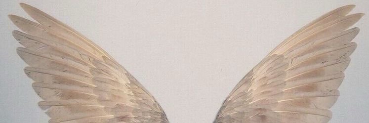 LanaDelWray's profile banner image