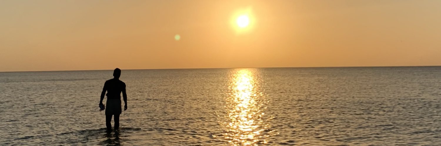 MaxiArnoldi's profile banner image